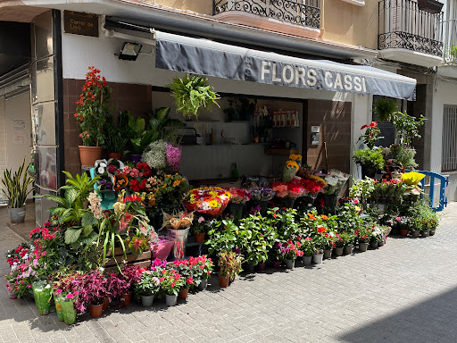 CASSI Flores y Plantas