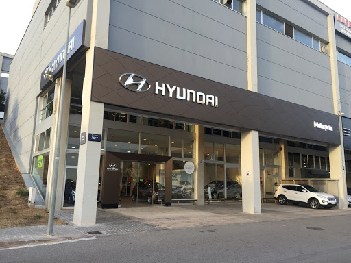 Taller Hyundai Motorprim Movento