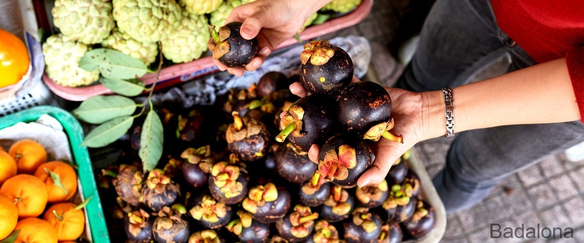 Las 20 mejores fruterías de Badalona